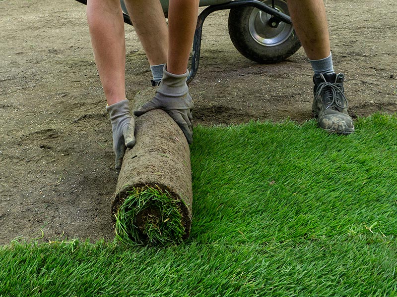 Wir liefern Rollrasen auch in Kleinstmengen Gartenservice Leipzig